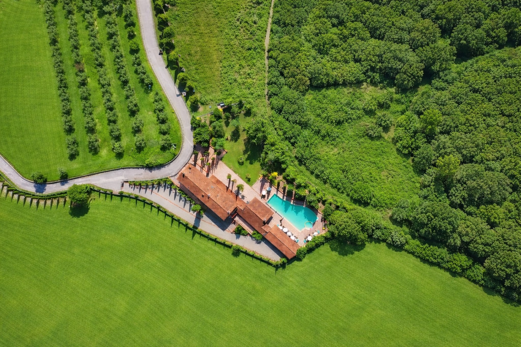 Villa Piaggetta pool landscape view